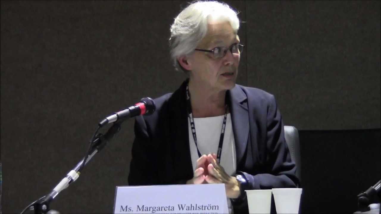 Magareta Walstrom -  Special Representative of the Secretary General for Disaster Risk Reduction