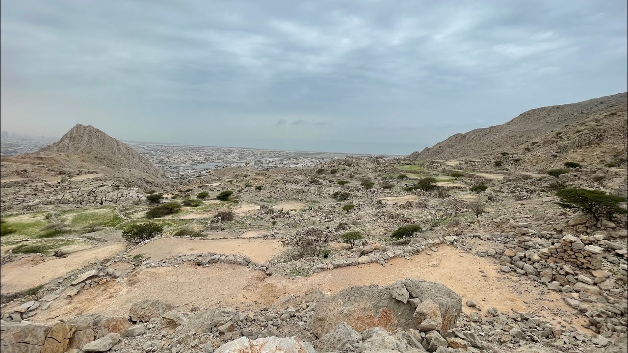 ديرة البرّامة - منطقة شمل - 25/1/2026