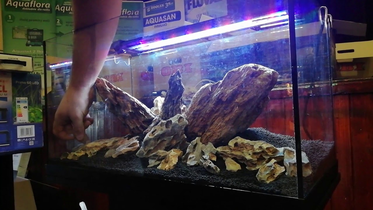 Aquascaping Dragon Stone tank at live contest