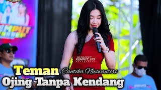 Download lagu TEMAN CANTIKA NUSWANTORO TANPA KENDANG OJING