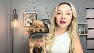 MIDOG Dog Cone Collar After Surgery, Soft Dog Cone Alternative to Stop Licking,Adjustable  #ad