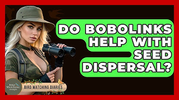 Do Bobolinks Help With Seed Dispersal? - Bird Watching Diaries