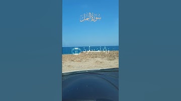 تلاوة مباركة من سورة النمل بصوت جميل غير معروف لدي