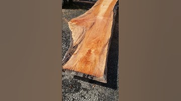 Beautiful wood, 22ft long curly maple slabs. Orcedar.com have small slabs free shipping.