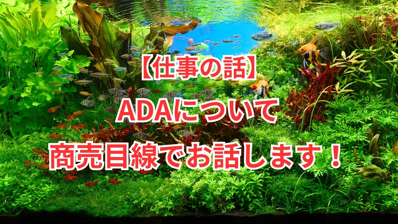 【仕事の話】ADAについて商売の目線からお話します！