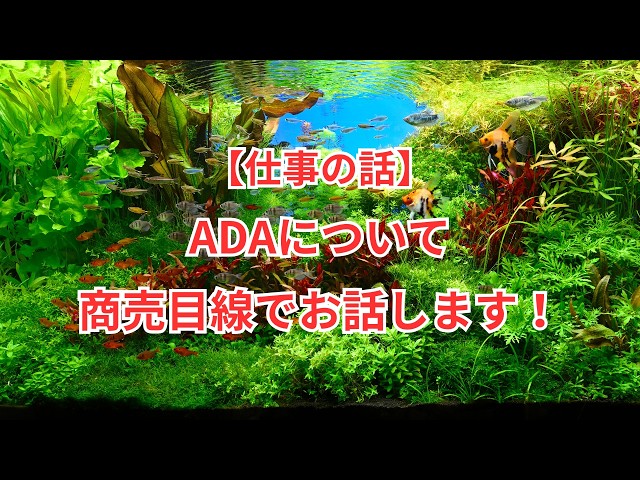Work Talk] Let's talk about ADA from a business perspective! - YouTube