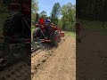 Third Succession being planted