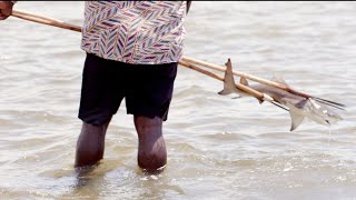 Spearfishing for Mud Crabs & Sharks, Surface Fishing for Mangrove Jacks | Fishing the Wild NT Ep.1