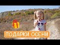 Осень. Подарки Осени !