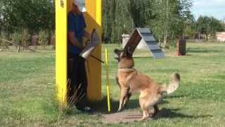 IPO SUMMER TRAINING CAMP Taubner & Lodinský (II.) 2014