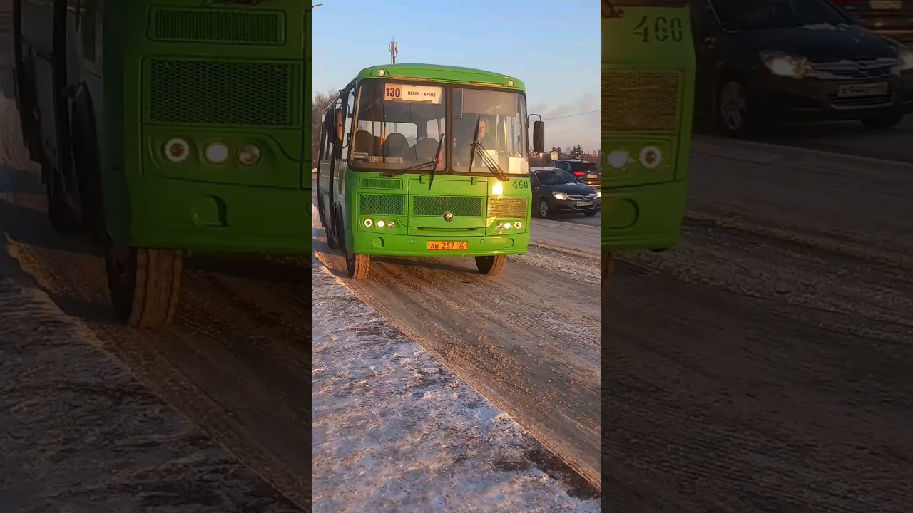 Новый ПАЗик. Маршрут: 130 "Псков-Крупп" 