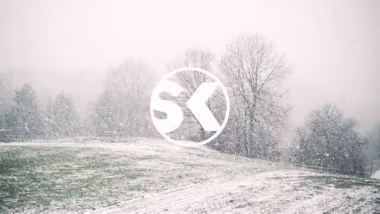 🎧 Winter Storm Ambience ️ Binaural Snowstorm &amp; Blizzard Howling Wind