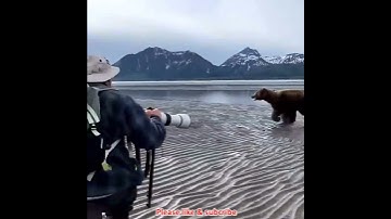 Brave man drives charging bear away #shorts #brave #man #drive #charging #charge #bear #animals