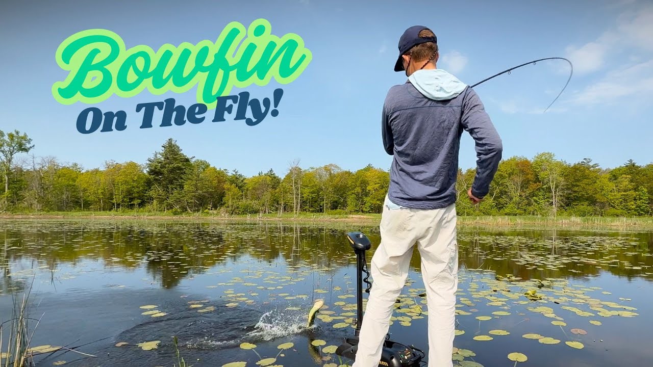 Fly Fishing Bowfin in Georgian Bay!