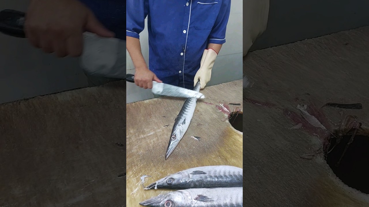 BARRACUDA FISH CUTTING