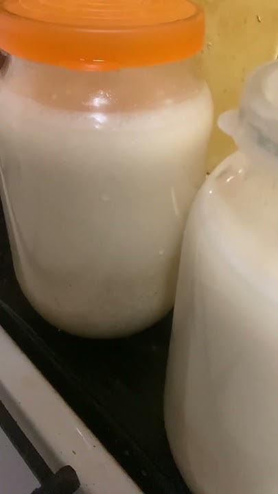 Овсяный квас «по Щинову» . Ферментированный квас. - YouTube