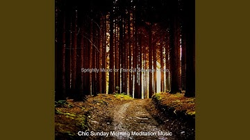 Relaxed Koto and Strings - Vibe for Sunday Morning Stretching