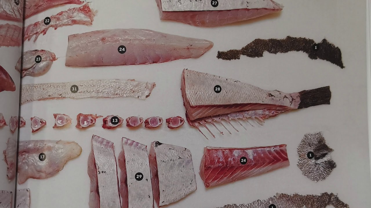 French Techniques and Dish Applications Everything About Fish YouTube