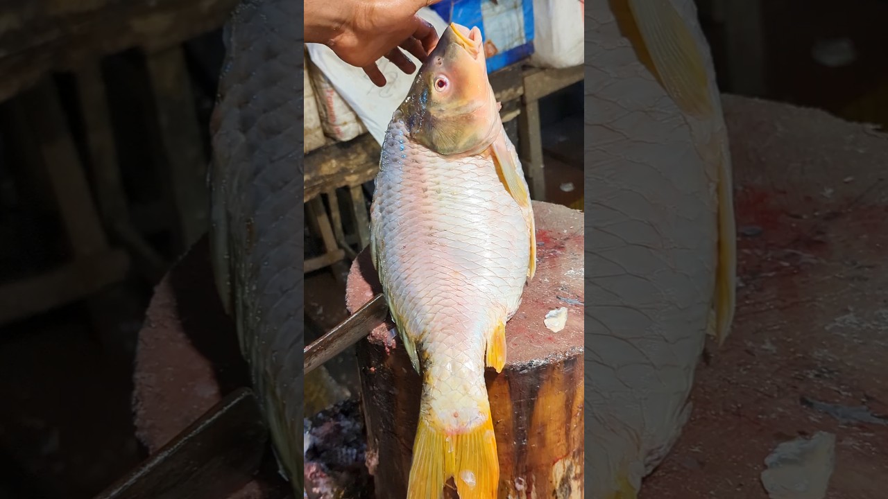 Amazing Huge Golden Carp Fish Cutting Skills In Fish Market #shorts