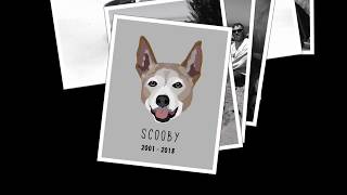 Scooby Legends Never Die Hd 720P