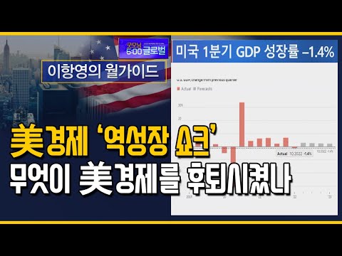 [이항영의 월가이드] 美 경제 ‘역성장 쇼크’ 무엇이 美 경제를 후퇴시켰나 / 머니투데이방송 (증시, 증권)