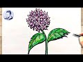 Comment dessiner une fleur d hortensia
