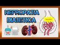 Enfermedad renal crónica: Nefropatía diabética #NEFROLOGÍA