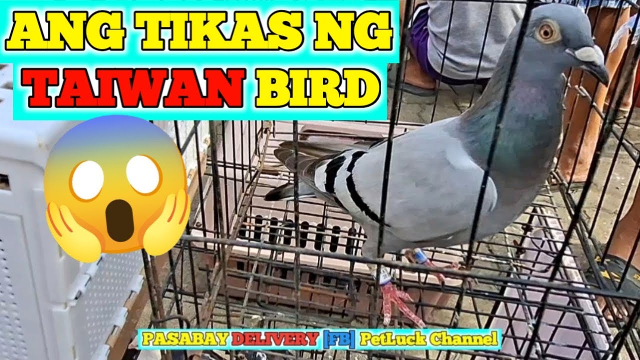 MURANG KALAPTI SA HULONG DUHAT MALABON