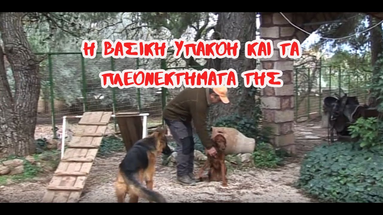 Η ΒΑΣΙΚΗ ΥΠΑΚΟΗ ΚΑΙ ΤΑ ΠΛΕΟΝΕΚΤΗΜΑΤΑ ΤΗΣ