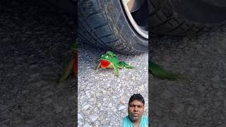 Asmr crushing frog and tomatoes by car tyre #satisfying #crushingtime #asmr