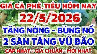 Giá Cà Phê Hôm Nay Ngày 2252026 Hai Sàn Tăng Mạnh Vũ Bãogiá Hồ Tiêu Hôm Naybơ Lang Thang