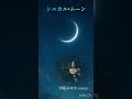 ギター弾き語り 『シニカル・ムーン』 中島みゆきcover