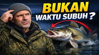 LUPAKAN SUBUH & SENJA! Inilah Waktu Sebenar Zander Trofi Makan Pada Januari.