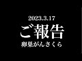 【ご報告】がんで余命宣告を受けていた夫が亡くなりました。