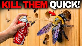 How To KILL All Carpenter Bees Around Your Home FAST — They Won't Come Back!
