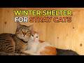 We Built Winter Shelters for Stray Cats