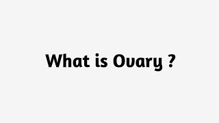 What is Ovary
