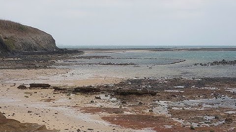 Dicovery: scientists believe mystery fossil is Denisovan, early human ancestor