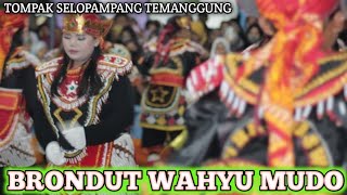 BRONDUT WAHYU MUDO BINTANG SEKAR TOMPAK - LIVE GORUKEM BUMIAYU SELOPAMPANG TEMANGGUNG