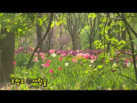 유튜브 미리보기