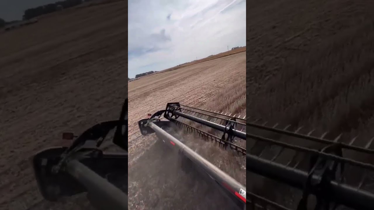 Harvesting Soybeans: A Timelapse Look at the Process