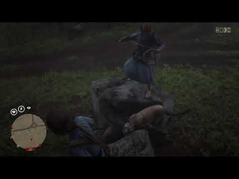 RDR2 Crazy Bernie antics gone wrongβ¦AGAIN! - YouTube