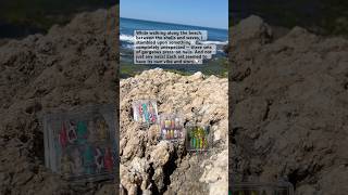 Summer Press On Nails 2025 #nails #pressonnails #summer