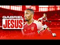 Gabriel jesus unstoppable goals  magical moments  ultimate highlight reel soccergroove