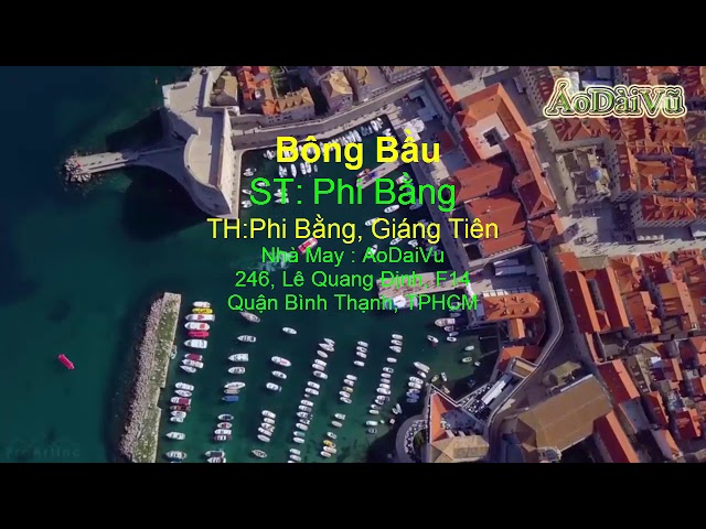 Bông Bầu ...Th Kien ft