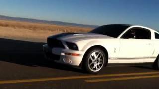 Firehawk (torque) vs Shelby gt500