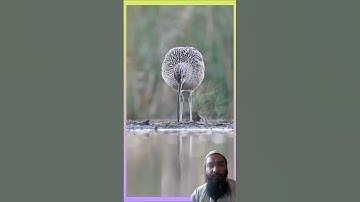 AL-IKHLAS (سورة الاخلاص) - Egzon Ibrahimi #egzonibrahimi #ikhlas #سورة_الإخلاص