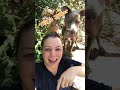 Introducing Christine Tayler & Jasper
