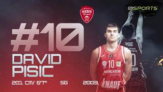 David Pisic Mid-Season Highlights 2526