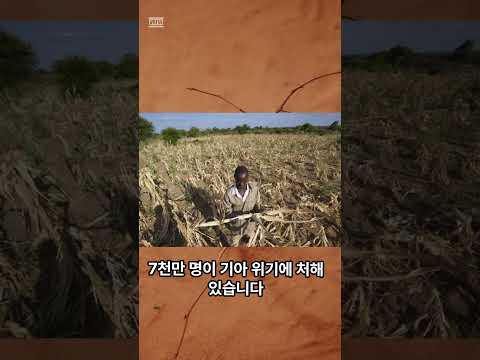 엘니뇨로 인한 극심한 가뭄, 남아프리카 7천만명 기아 위기 초래